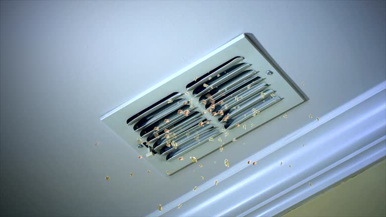  Lake Mills, WI Airduct Cleaning Pros
