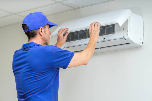 Best Air Duct Mold Removal  in Lake Mills, WI