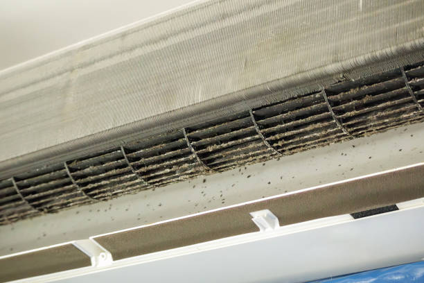 Best Professional Duct Cleaning Services  in Lake Mills, WI